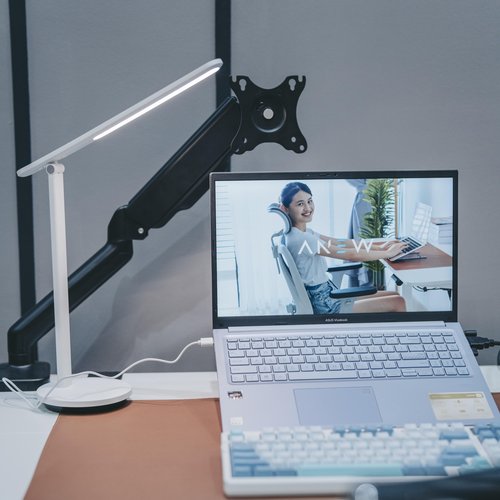 ANEW Gas Spring Single Monitor Arm