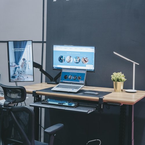 ANEW Gas Spring Single Monitor Arm
