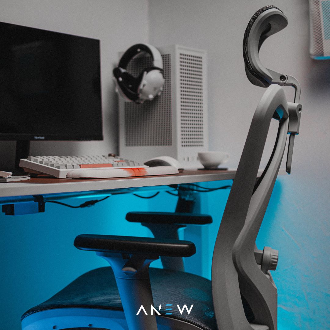 ANEW Standard Ergonomic Chair