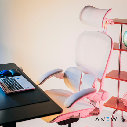 [NEW LAUNCH] ANEW ARISE Ergonomic Chair