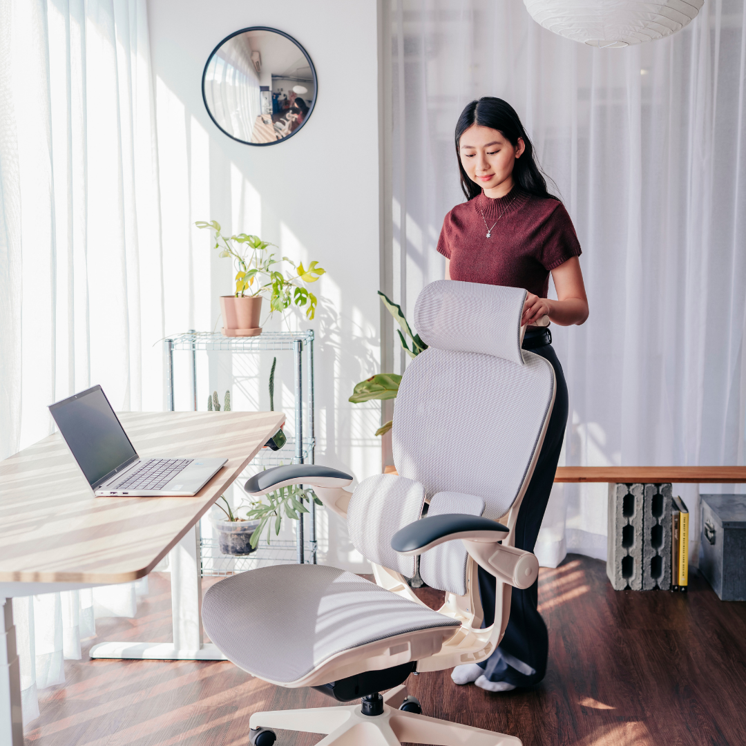 [NEW LAUNCH] ANEW ARISE Ergonomic Chair