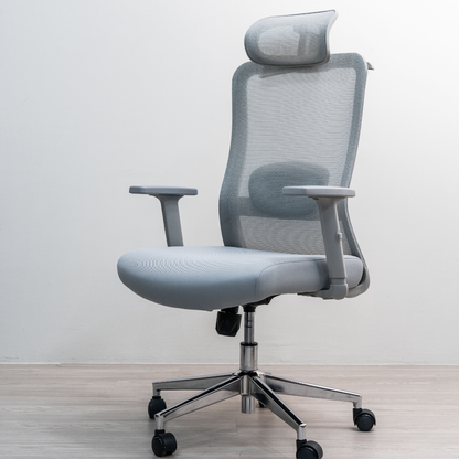 ANEW Stride Ergonomic Chair Pro