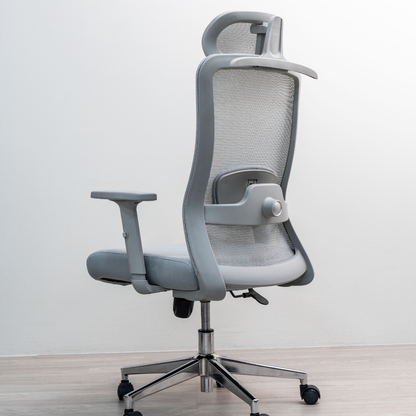 ANEW Stride Ergonomic Chair Pro
