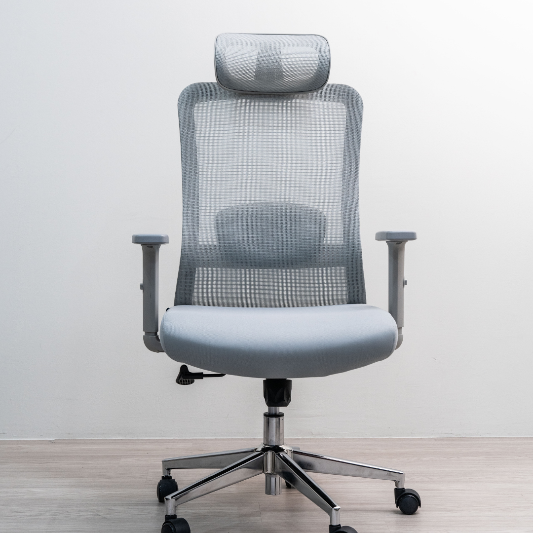 ANEW Stride Ergonomic Chair Pro