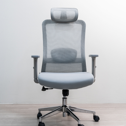 ANEW Stride Ergonomic Chair Pro