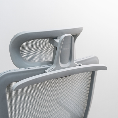 ANEW Stride Ergonomic Chair Pro