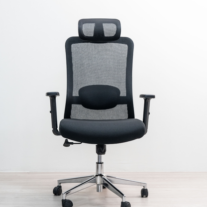 ANEW Stride Ergonomic Chair Pro