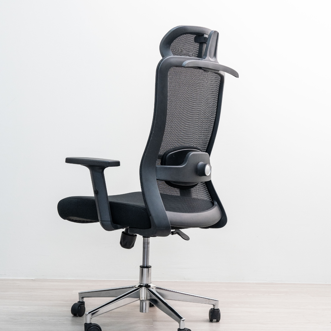 ANEW Stride Ergonomic Chair Pro