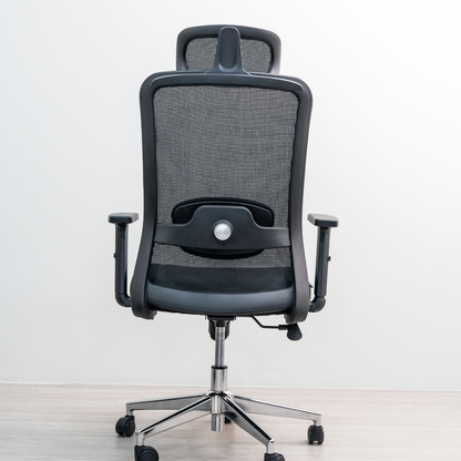 ANEW Stride Ergonomic Chair Pro