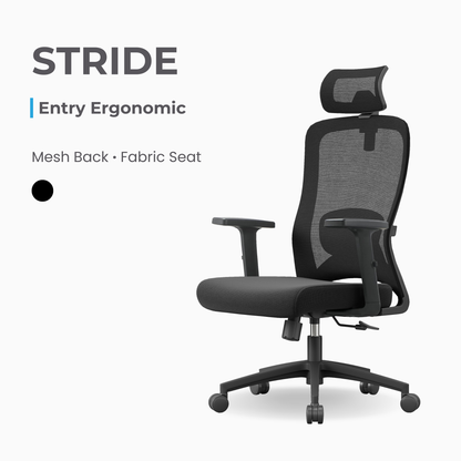 ANEW Stride Ergonomic Chair