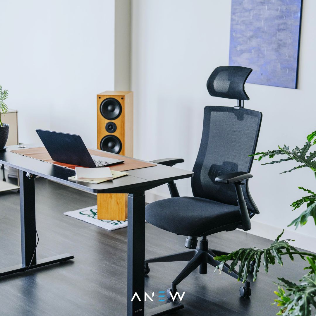 ANEW Kinetic Ergonomic Chair