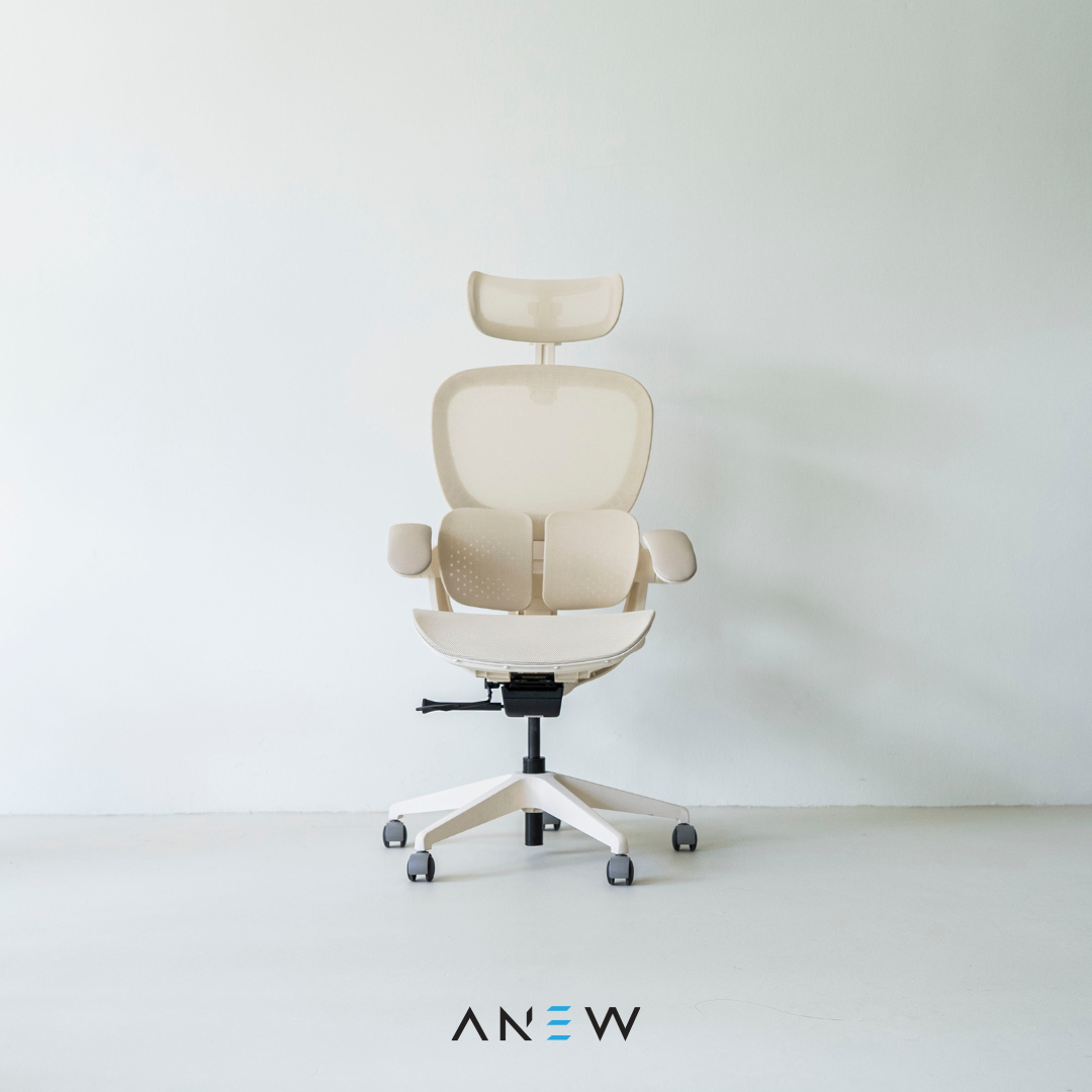 [NEW LAUNCH] ANEW ARISE Ergonomic Chair