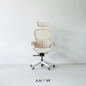 ANEW ARISE Ergonomic Chair