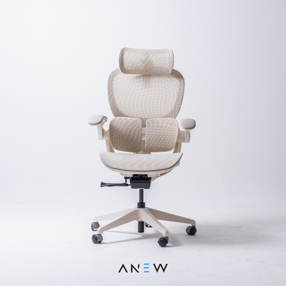 [NEW LAUNCH] ANEW ARISE Ergonomic Chair