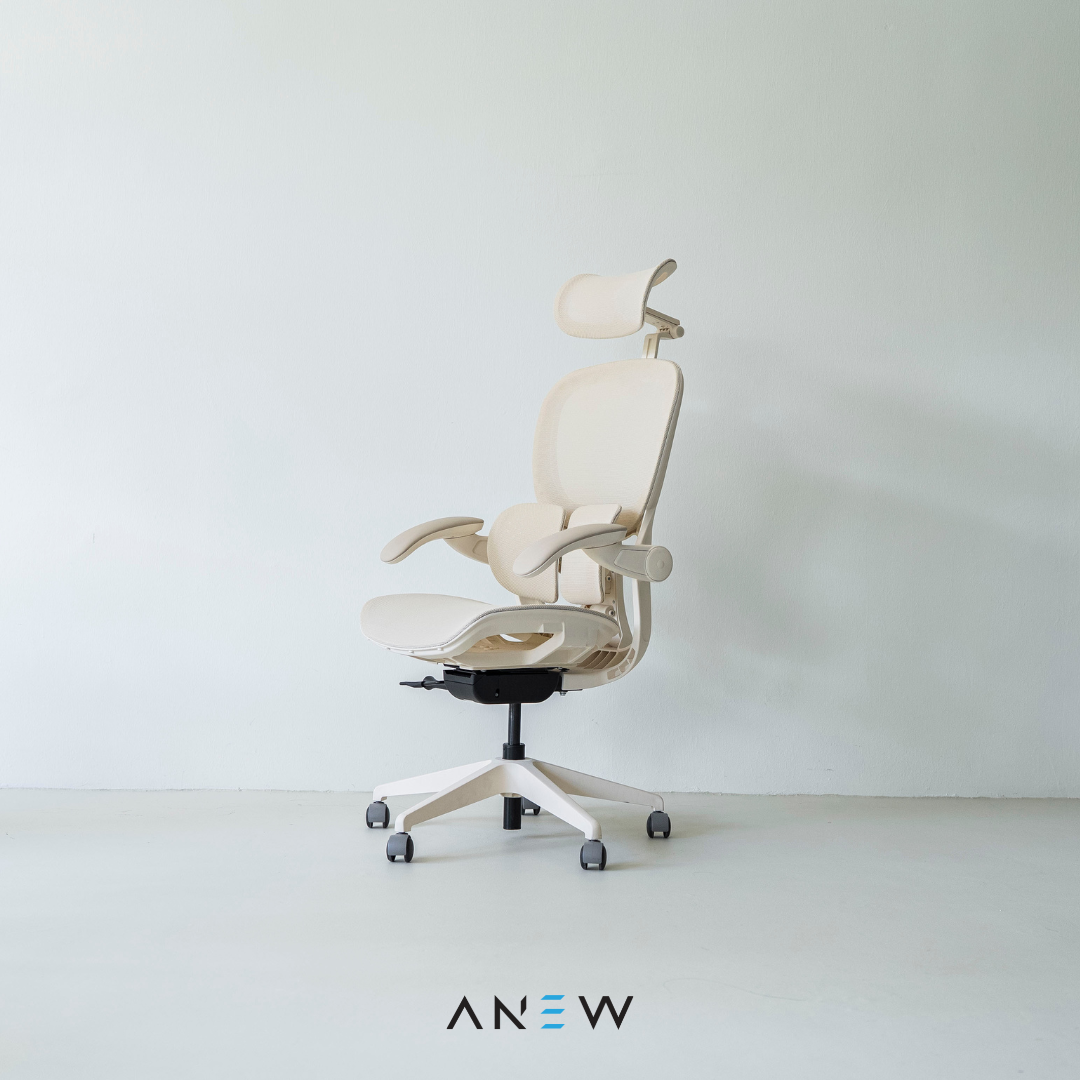 [NEW LAUNCH] ANEW ARISE Ergonomic Chair