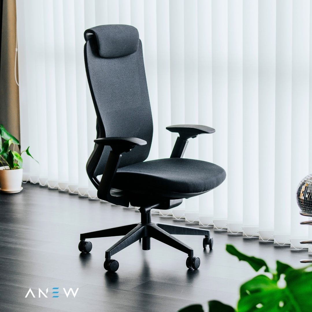 ANEW Aspire Ergonomic Chair