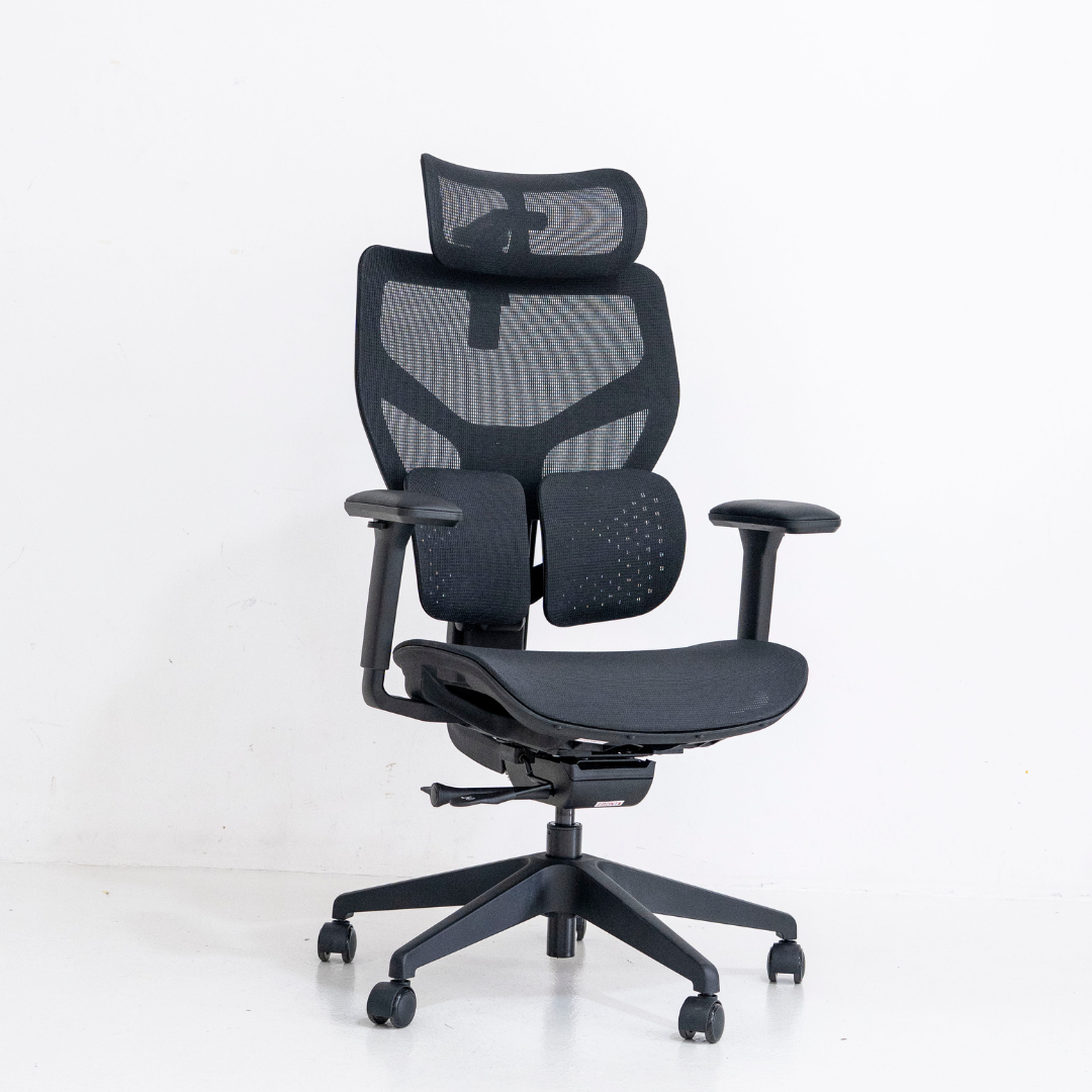 [New Arrival] ANEW ACE Ergonomic Chair