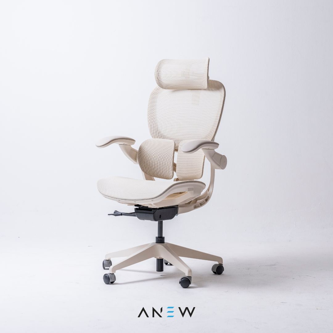 [NEW LAUNCH] ANEW ARISE Ergonomic Chair