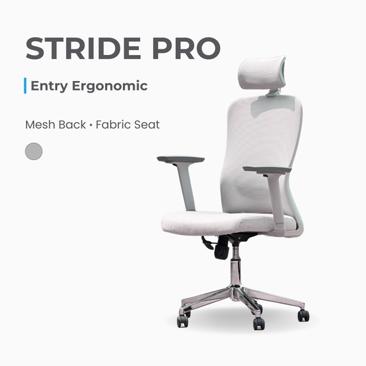 ANEW Stride Ergonomic Chair Pro