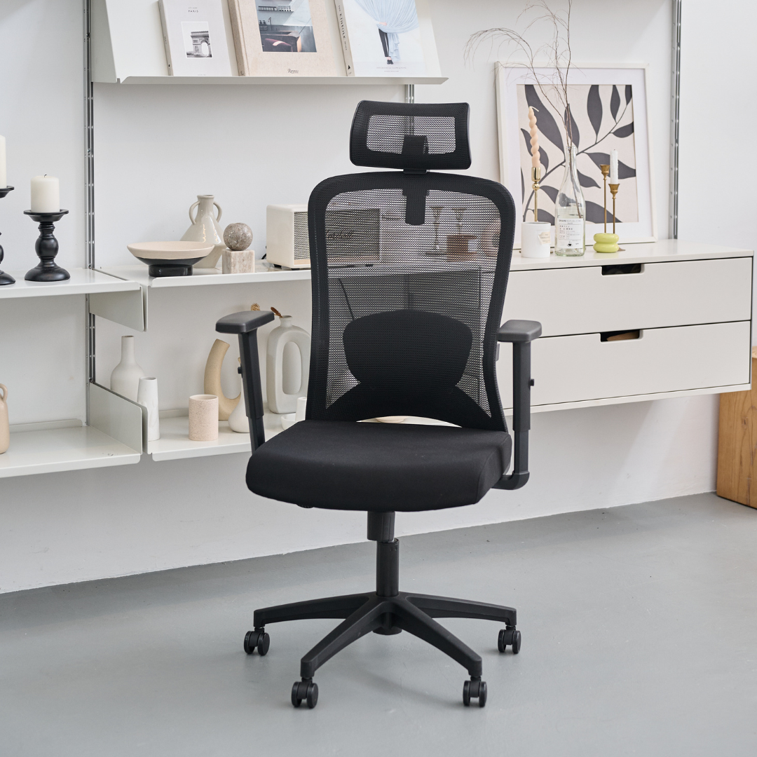 [EXCLUSIVE LAUNCH PRICE] ANEW Stride Ergonomic Chair