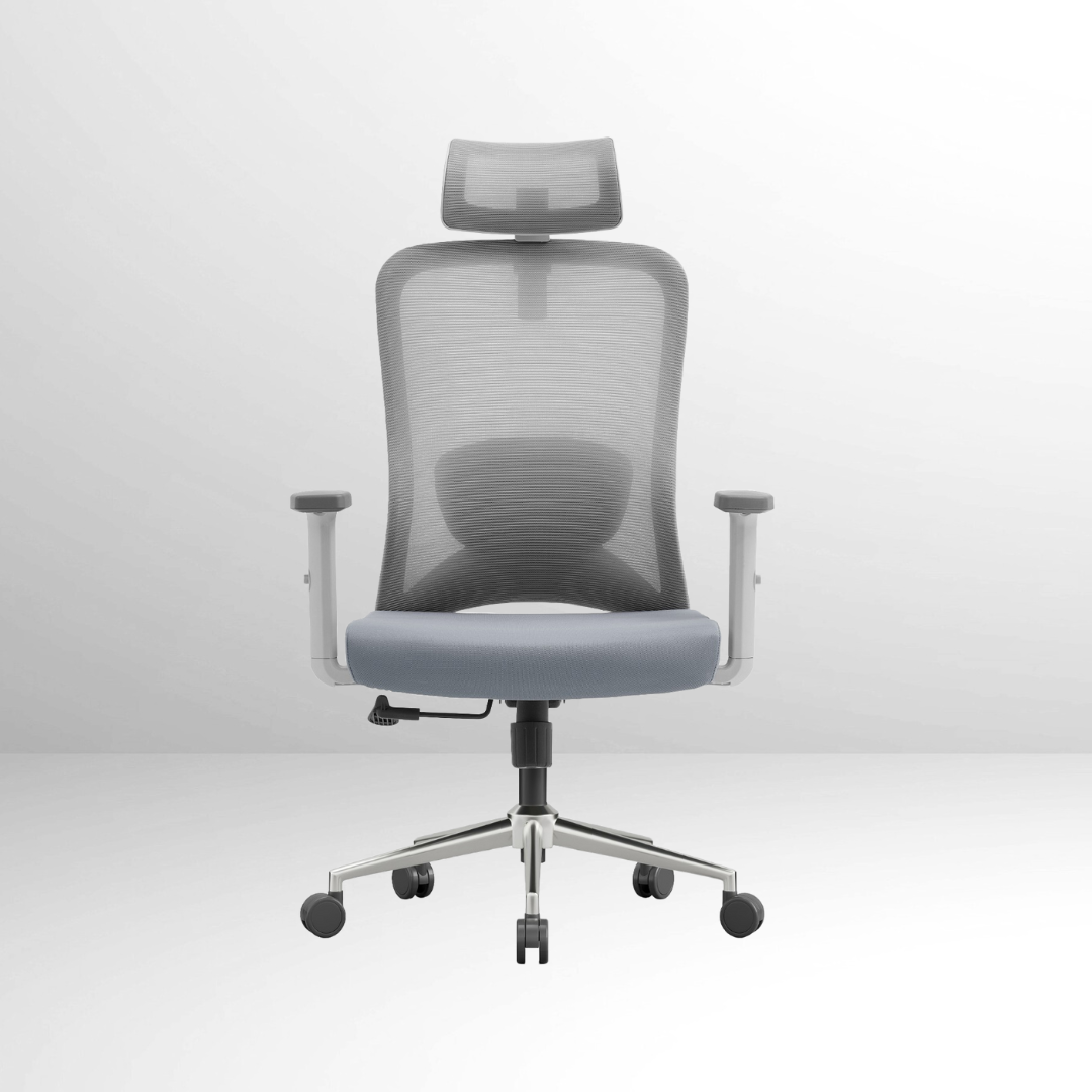 ANEW Stride Ergonomic Chair Pro