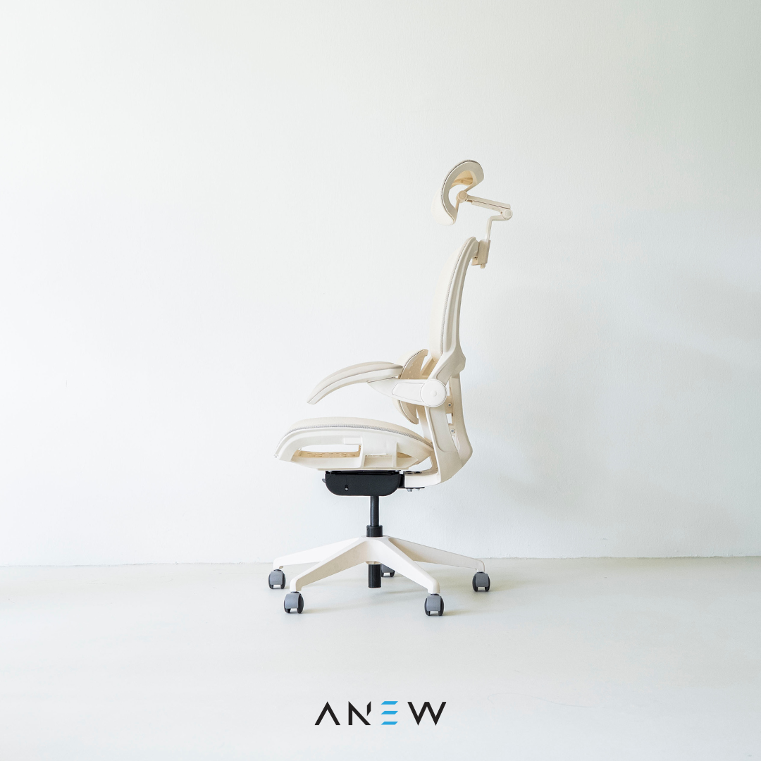 [NEW LAUNCH] ANEW ARISE Ergonomic Chair