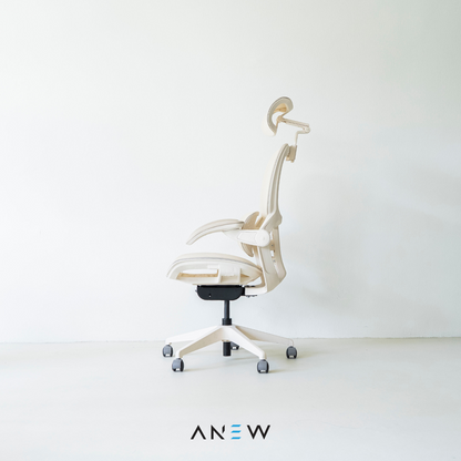 [NEW LAUNCH] ANEW ARISE Ergonomic Chair