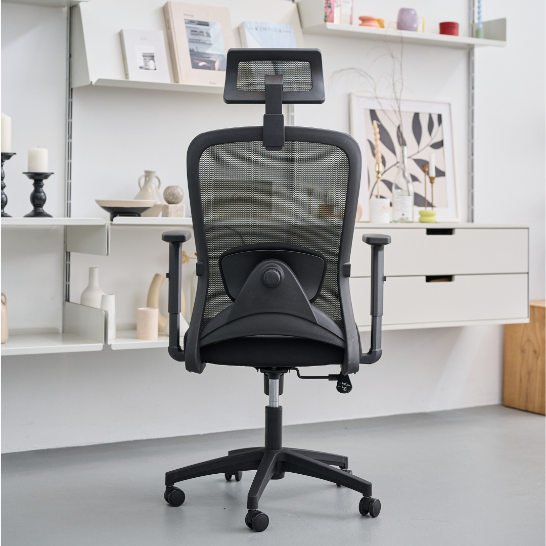 ANEW Stride Ergonomic Chair