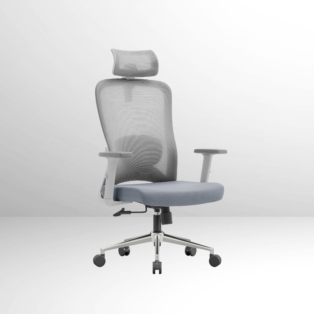 ANEW Stride Ergonomic Chair Pro