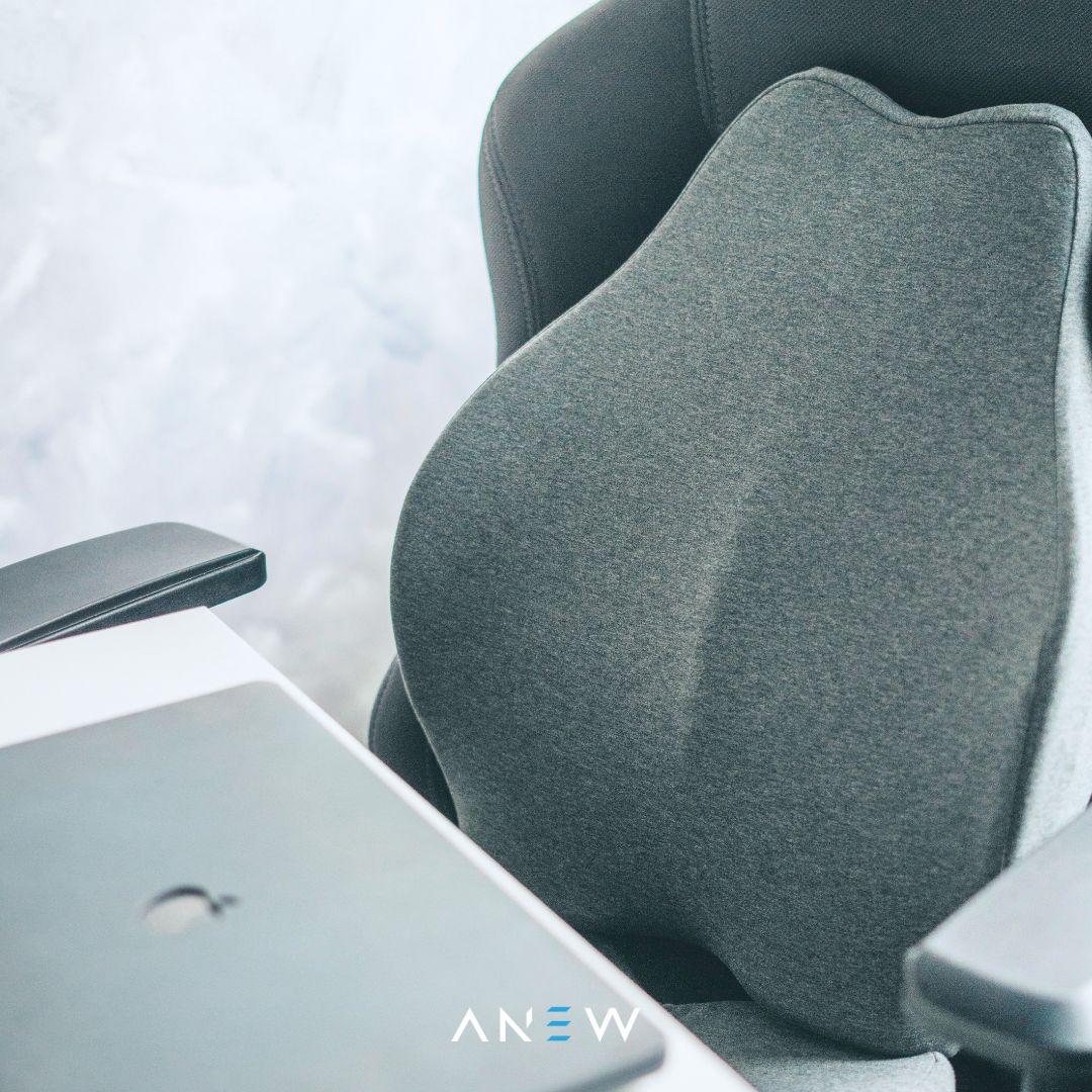 ANEW Ergonomic Back Cushion