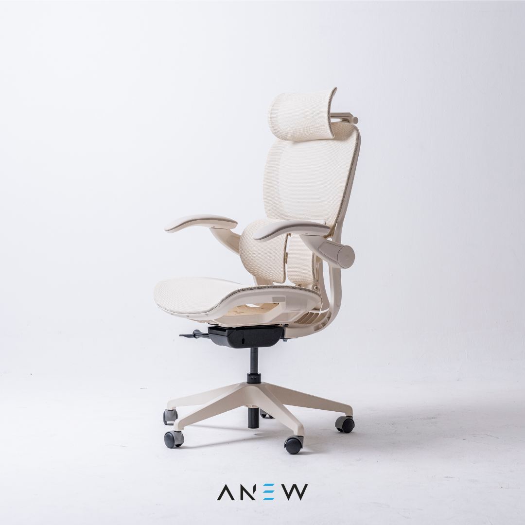 [NEW LAUNCH] ANEW ARISE Ergonomic Chair