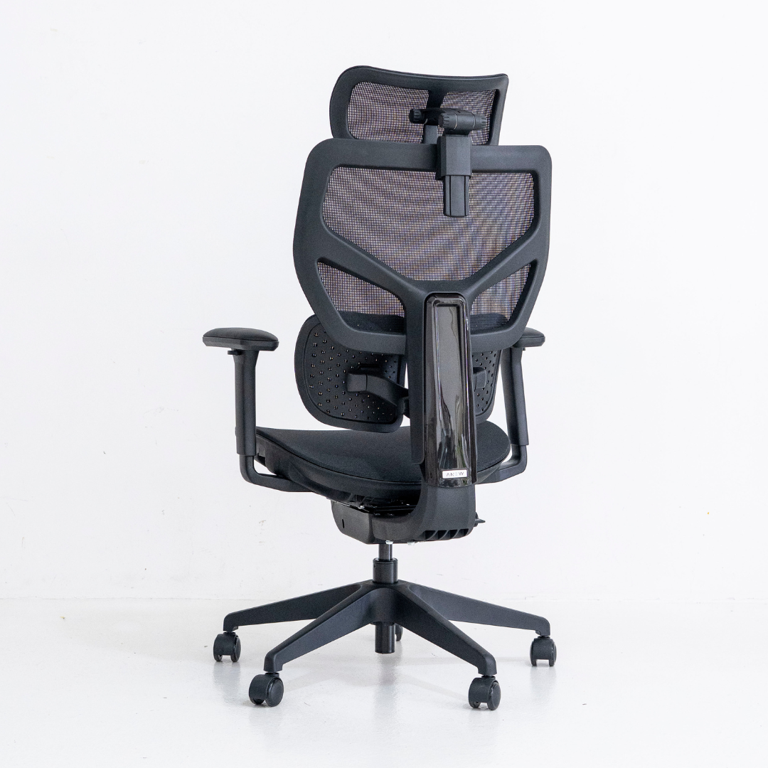 [New Arrival] ANEW ACE Ergonomic Chair