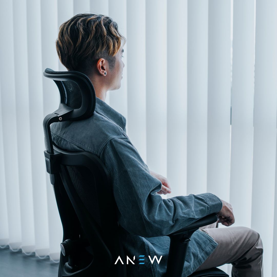 ANEW Standard Ergonomic Chair