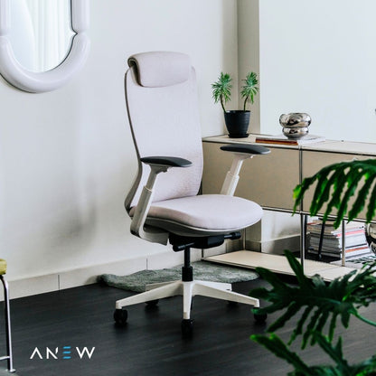 ANEW Aspire Ergonomic Chair