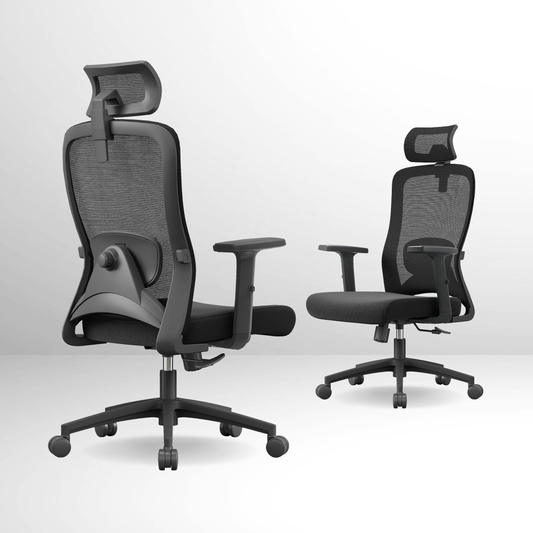 ANEW Stride Ergonomic Chair