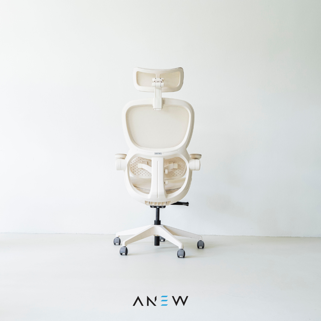 [NEW LAUNCH] ANEW ARISE Ergonomic Chair