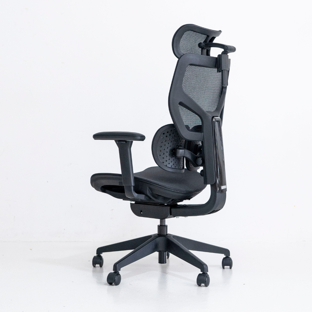 [New Arrival] ANEW ACE Ergonomic Chair