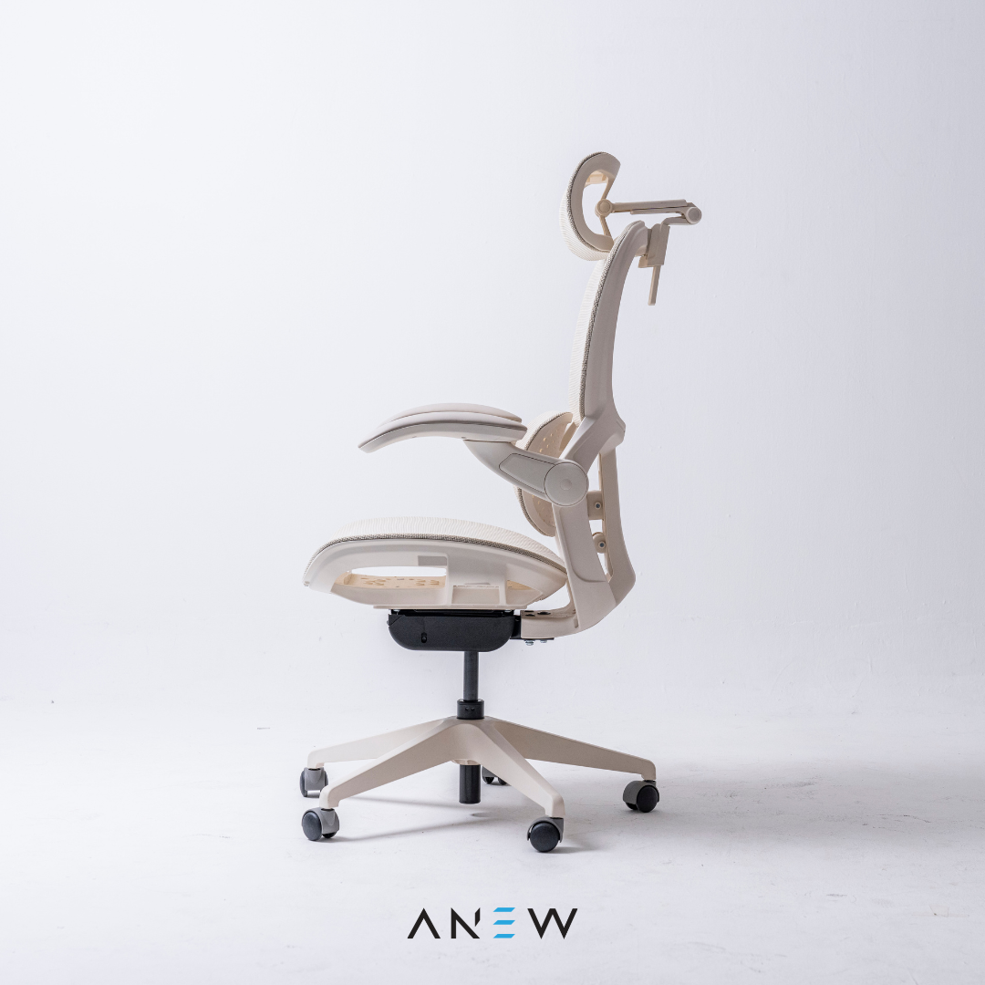 [NEW LAUNCH] ANEW ARISE Ergonomic Chair