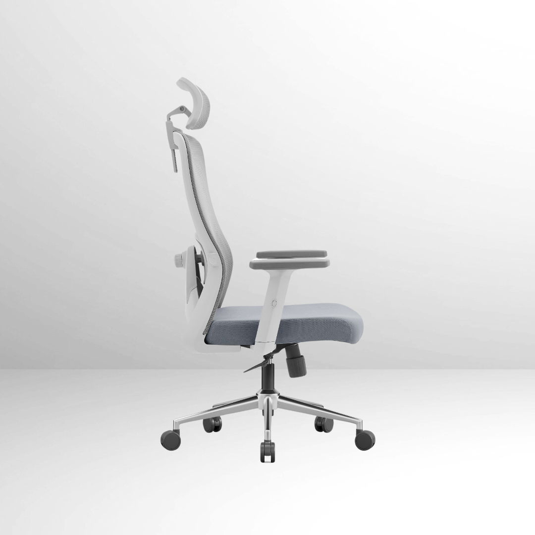 ANEW Stride Ergonomic Chair Pro