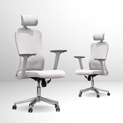 ANEW Stride Ergonomic Chair Pro