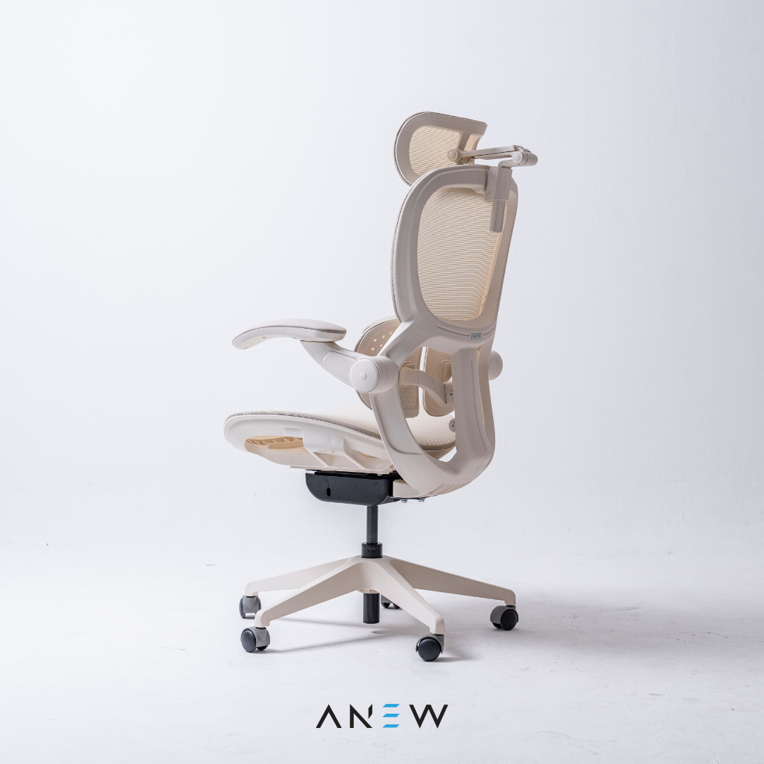 [NEW LAUNCH] ANEW ARISE Ergonomic Chair
