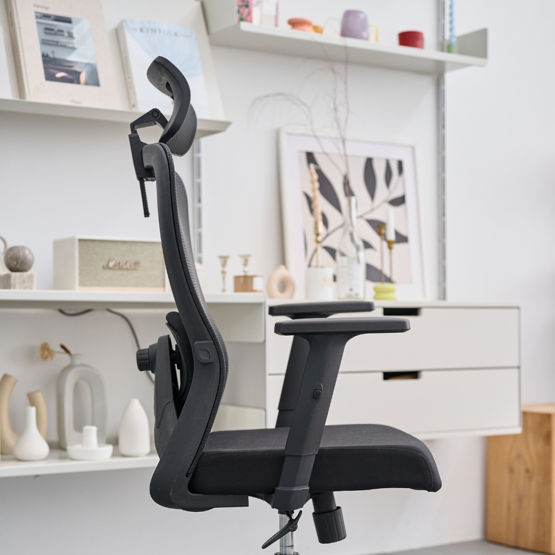 [EXCLUSIVE LAUNCH PRICE] ANEW Stride Ergonomic Chair