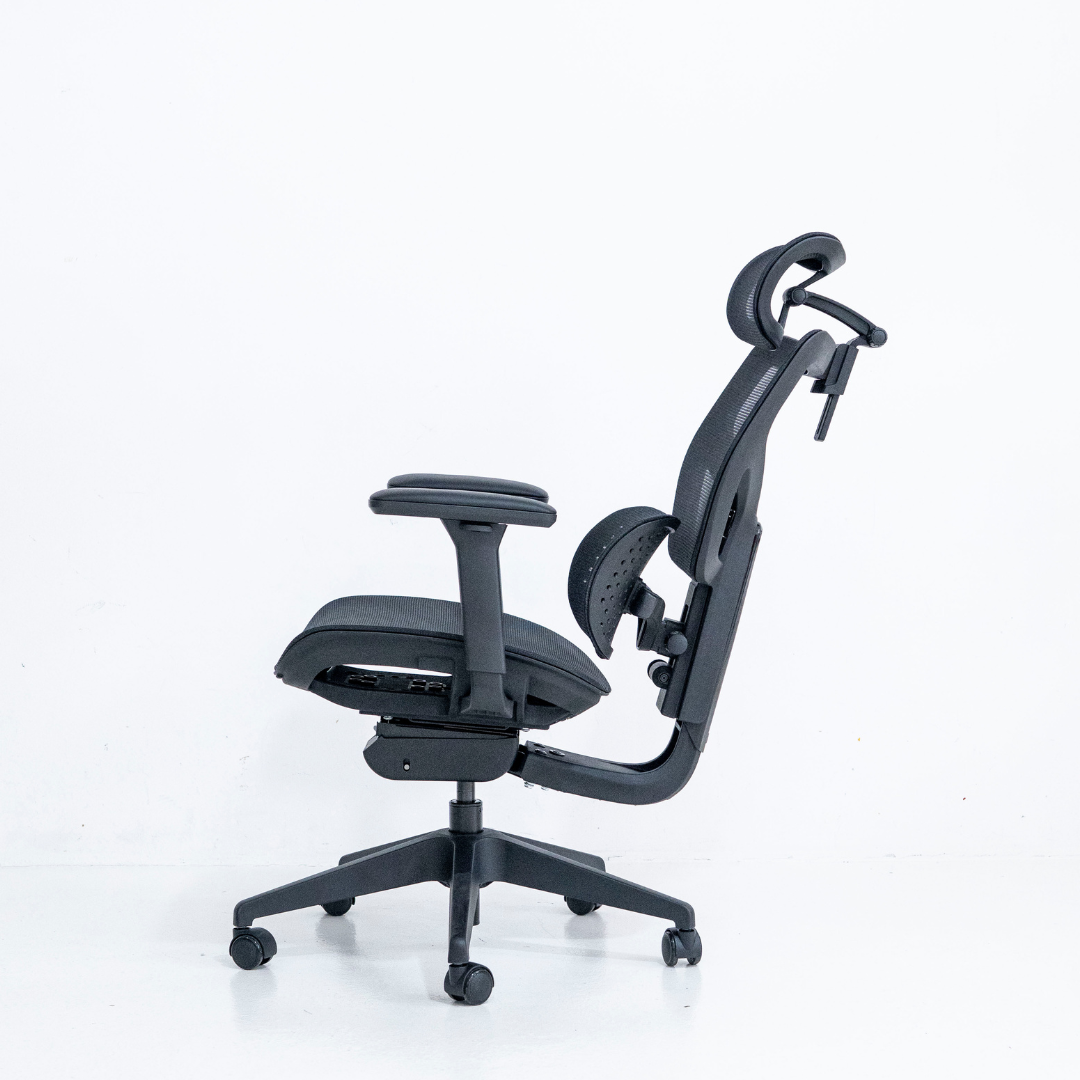 [New Arrival] ANEW ACE Ergonomic Chair