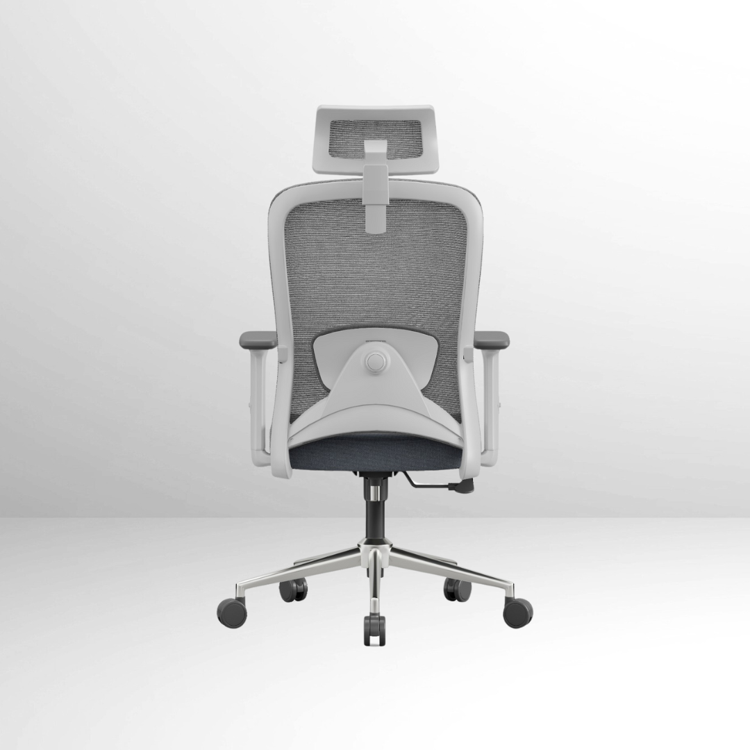 ANEW Stride Ergonomic Chair Pro