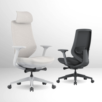 ANEW Spark Ergonomic Chair