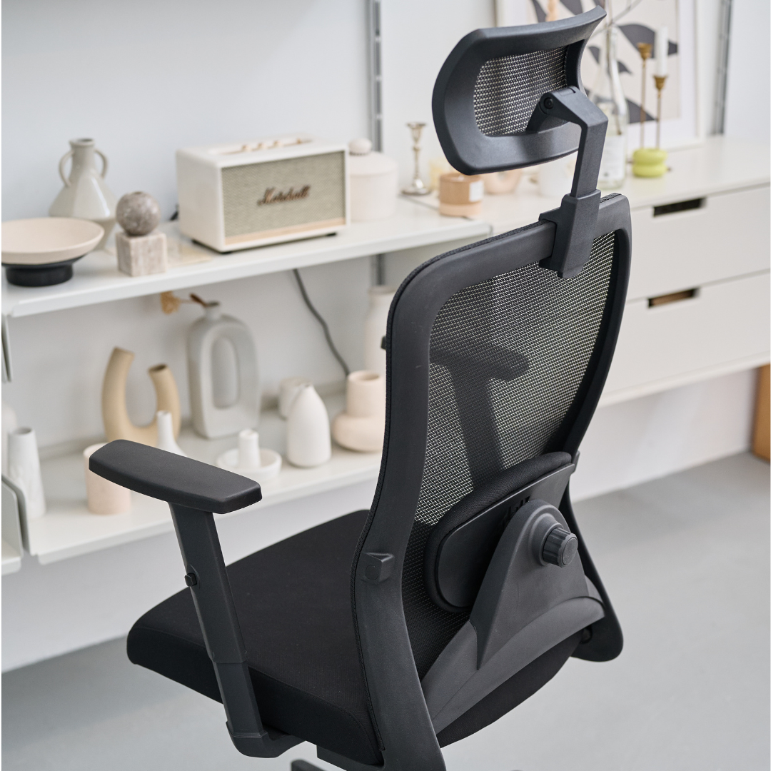 [EXCLUSIVE LAUNCH PRICE] ANEW Stride Ergonomic Chair