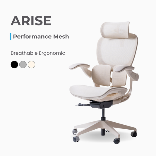 ANEW ARISE Ergonomic Chair