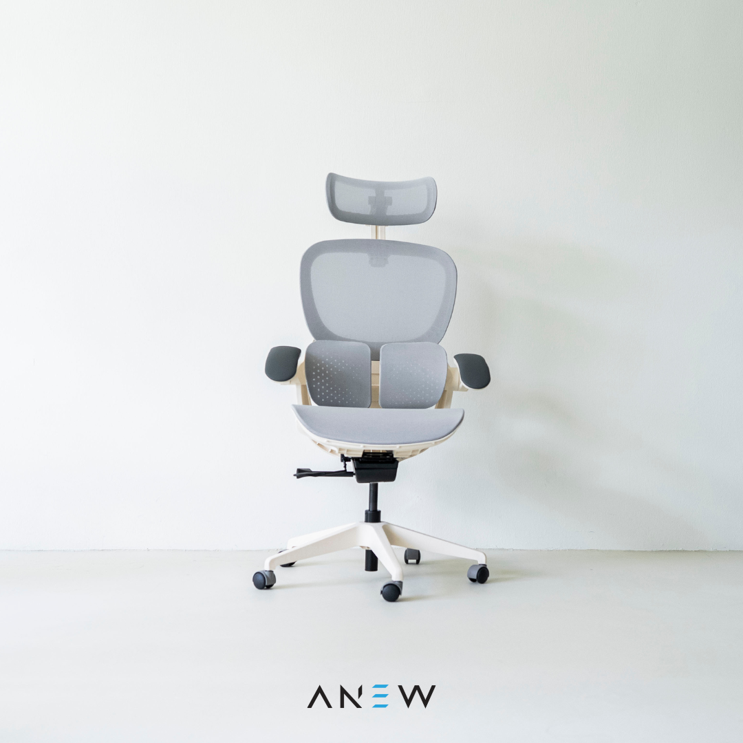 [NEW LAUNCH] ANEW ARISE Ergonomic Chair