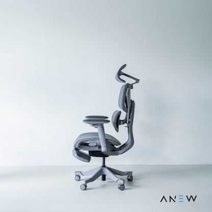 [NEW LAUNCH] ANEW AXIS Ergonomic Chair