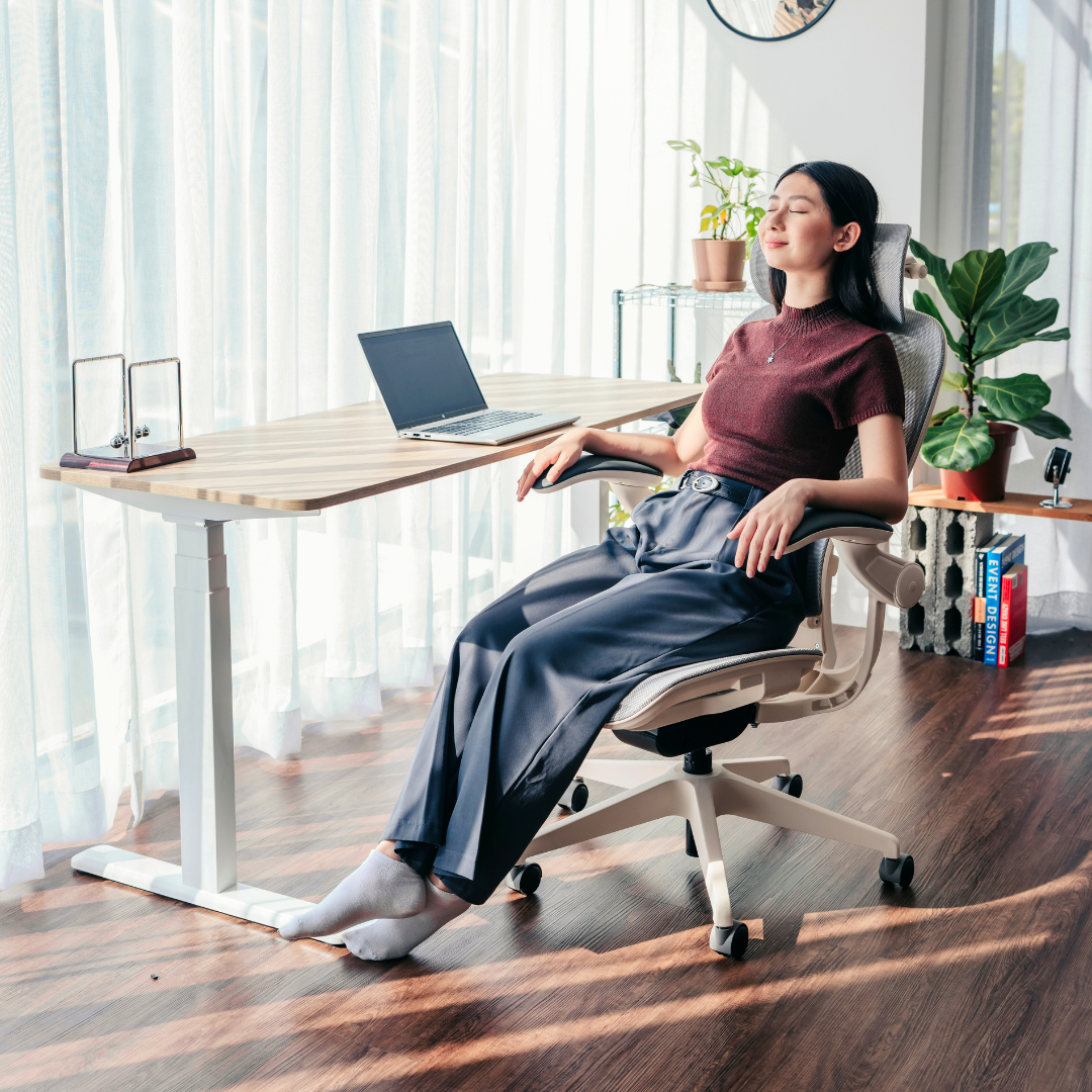 [NEW LAUNCH] ANEW ARISE Ergonomic Chair